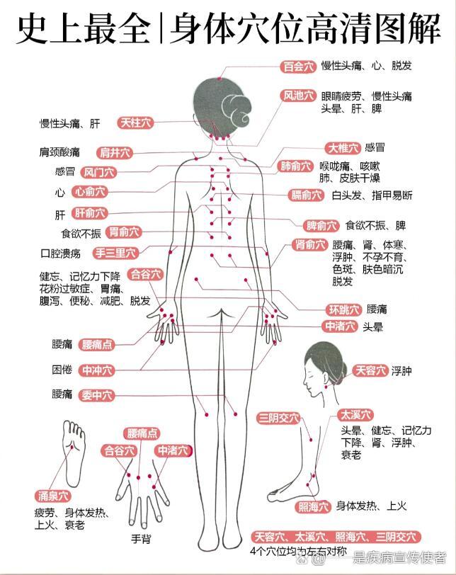 p 史上最全人体穴位建议收藏 br 史上最全