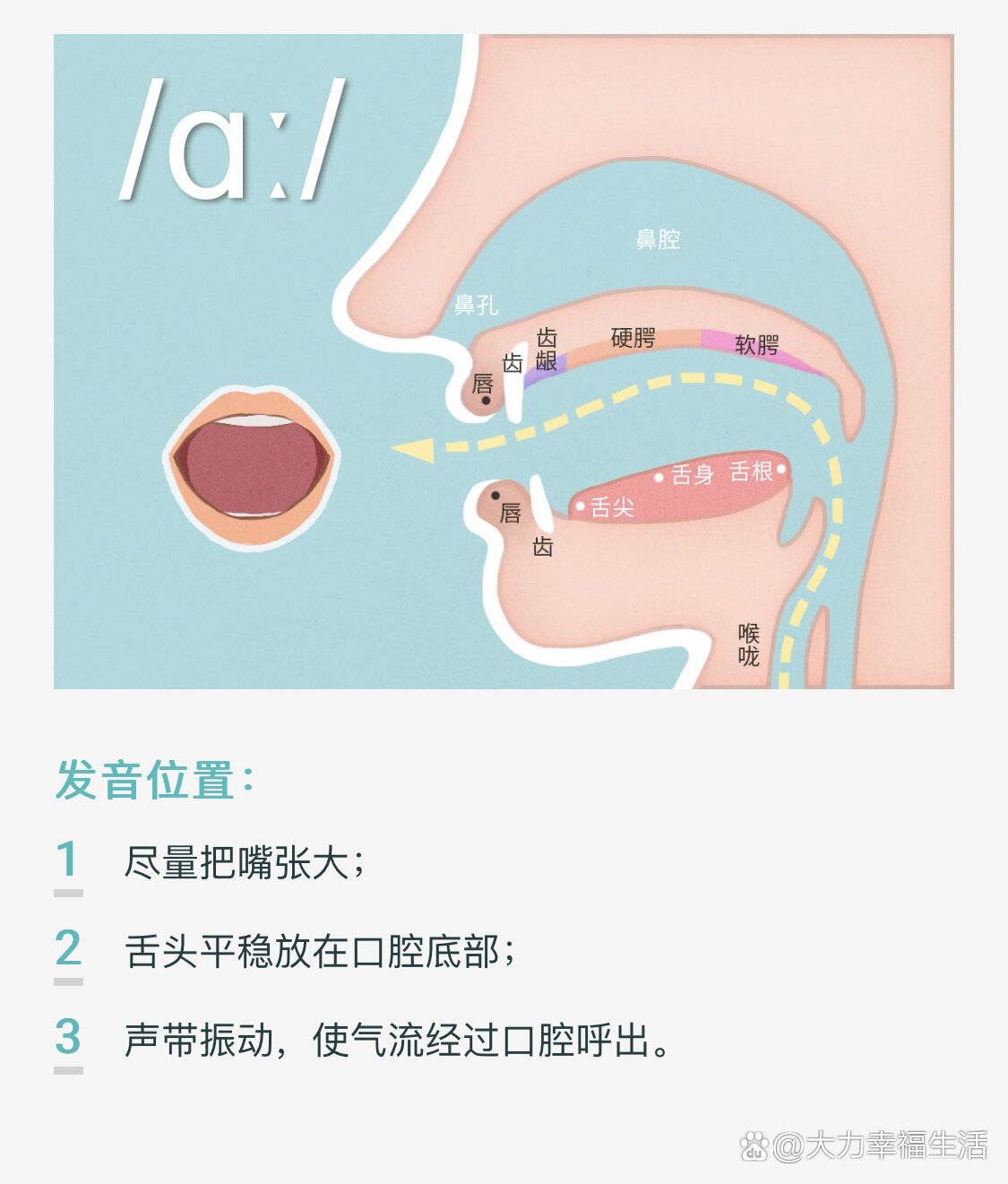 基础音标口型舌位图解/ɑ09/&