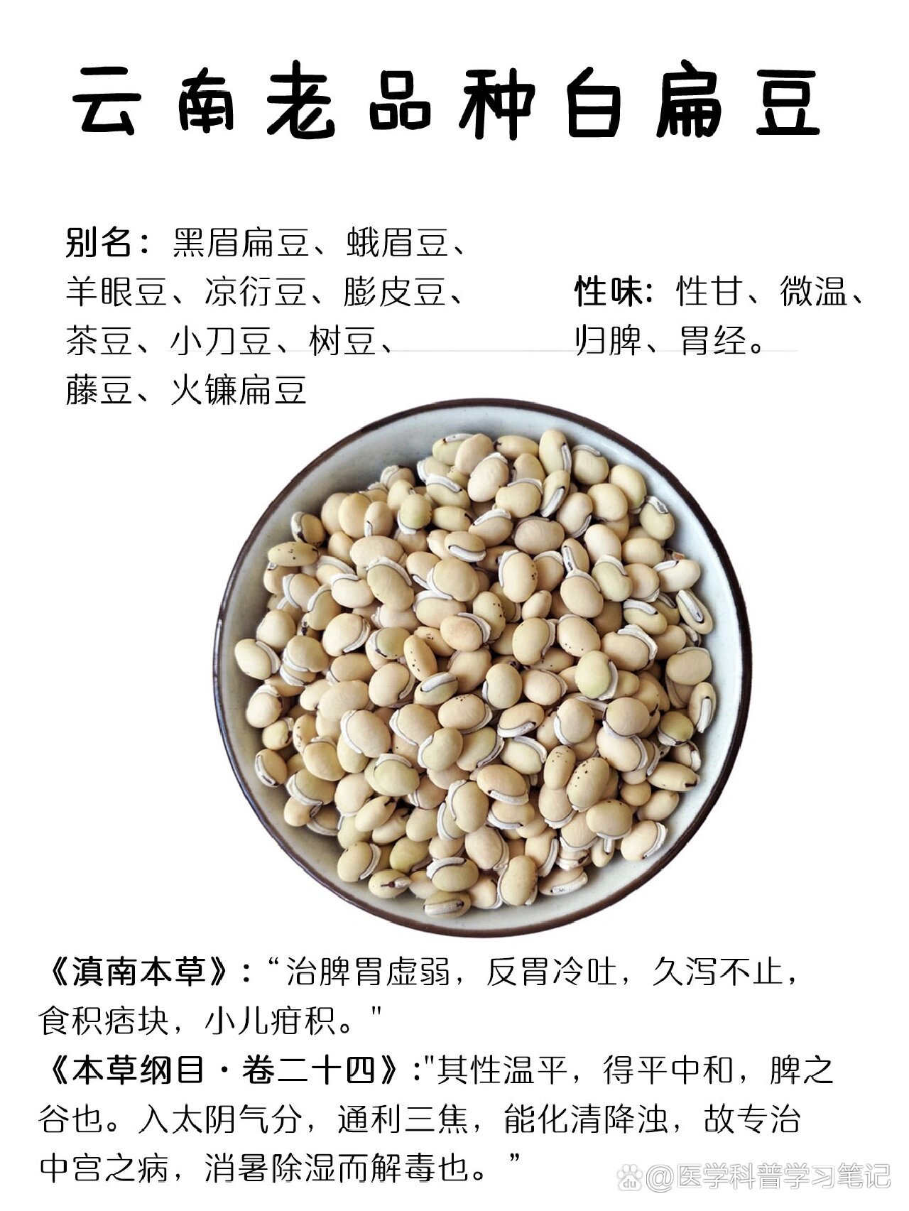云南老品种白扁豆