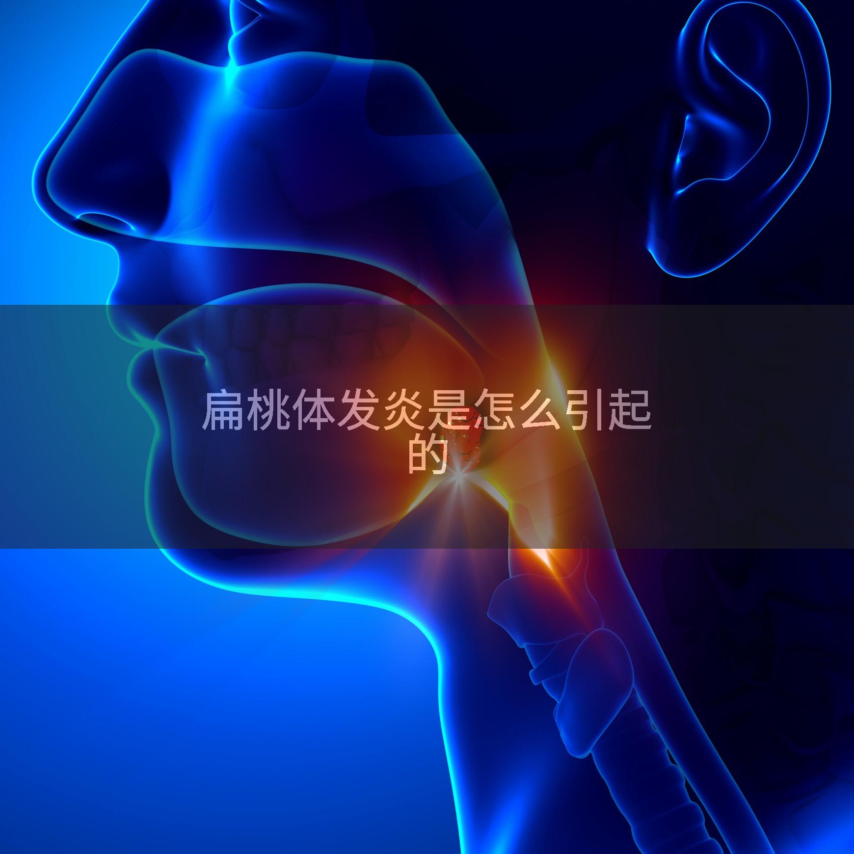 扁桃体发炎是怎么引起的