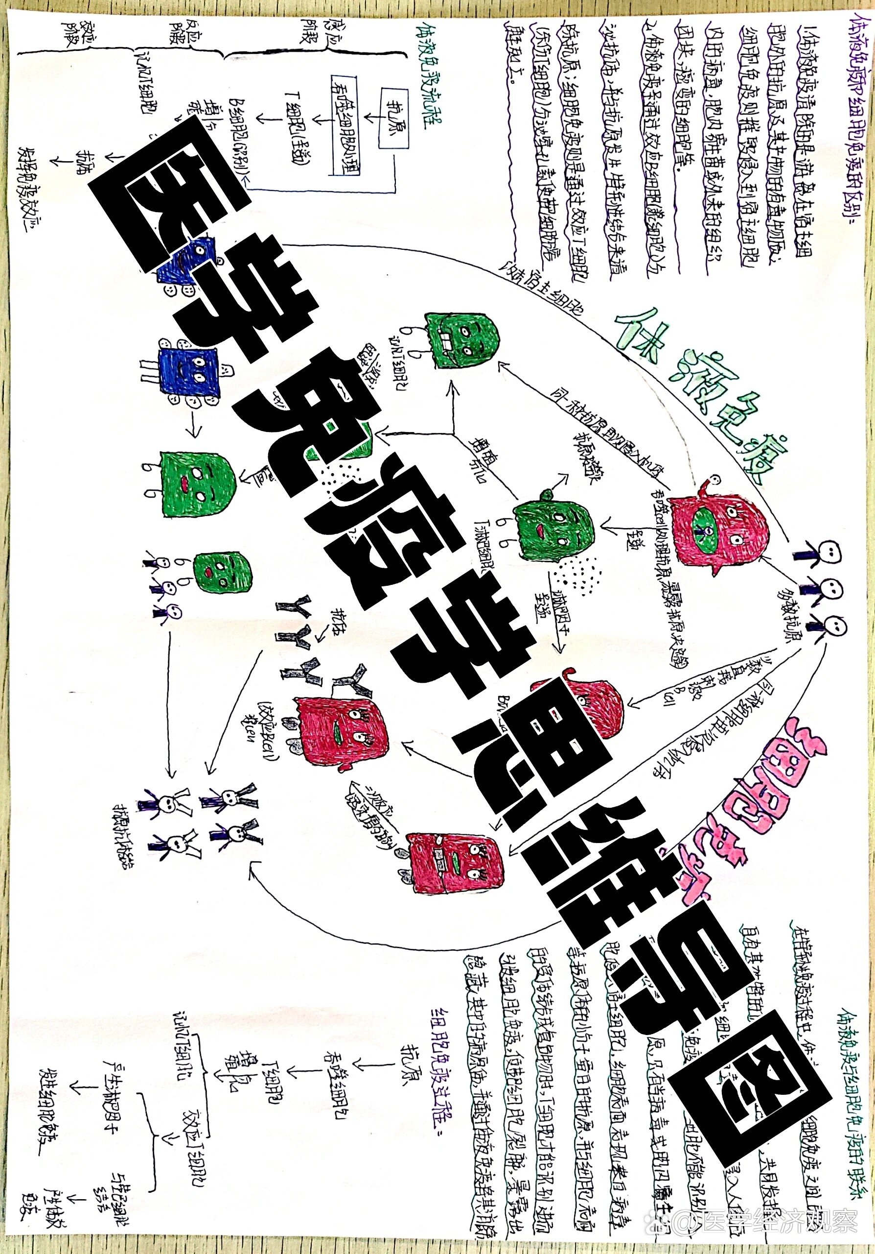 固有免疫思维导图图片