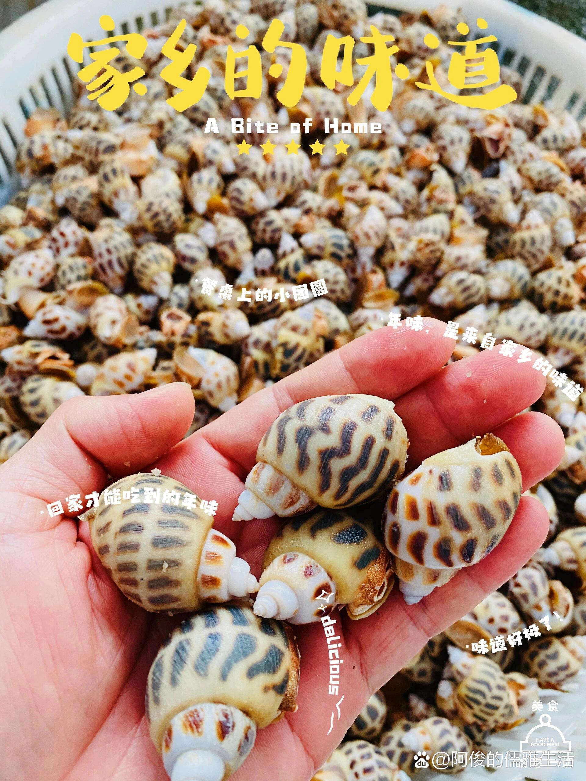 99探秘花螺:营养与美味的完美结合!