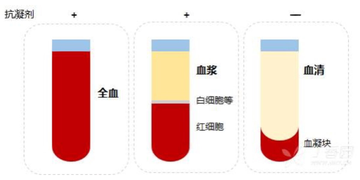 全血,血浆,血清的区别