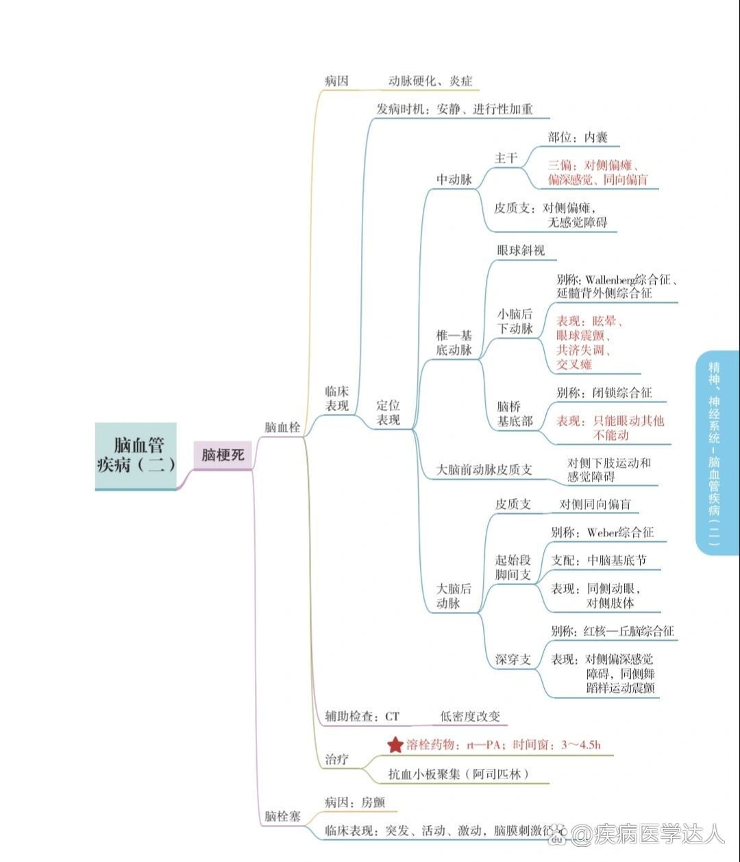 主动脉分支思维导图图片