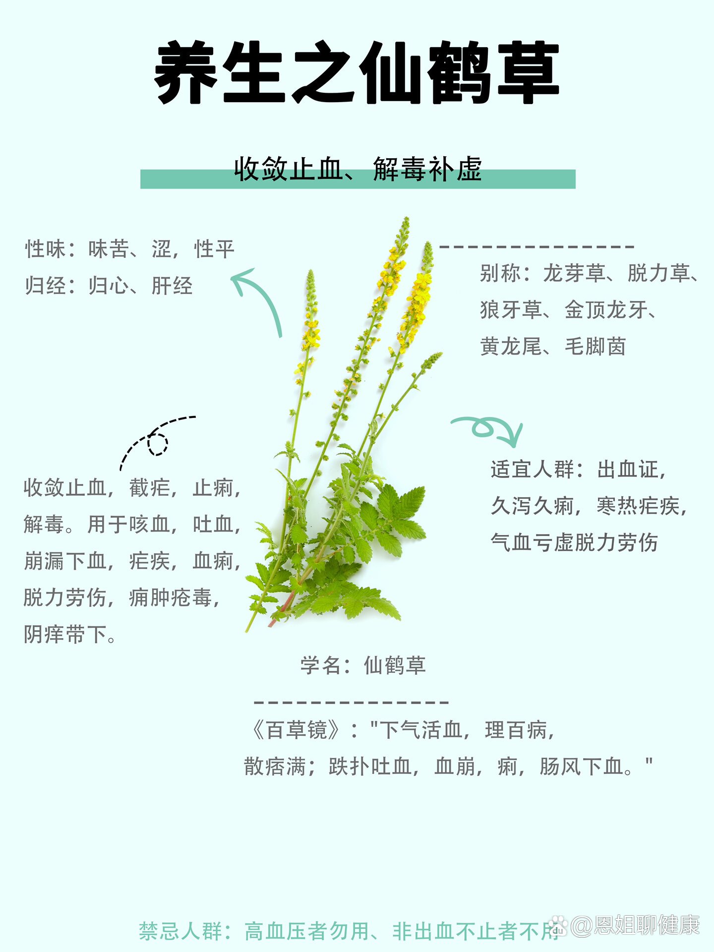  br>性味:味苦,涩,性平  br>归经:归心,肝经  br>别称:龙芽草,脱力草