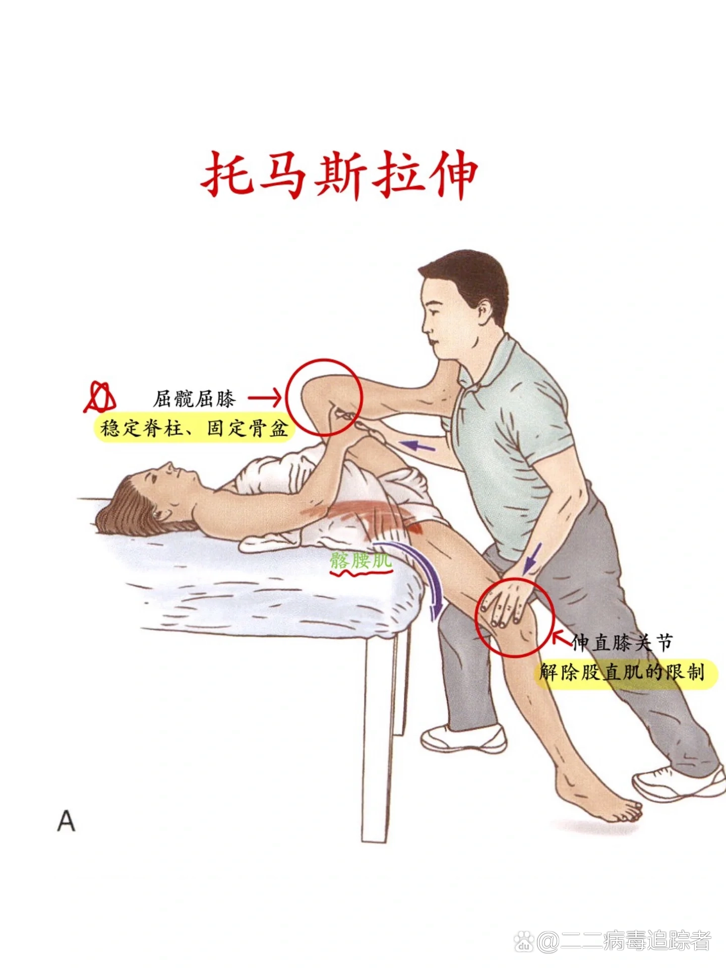 韧带拉伸训练方法图片