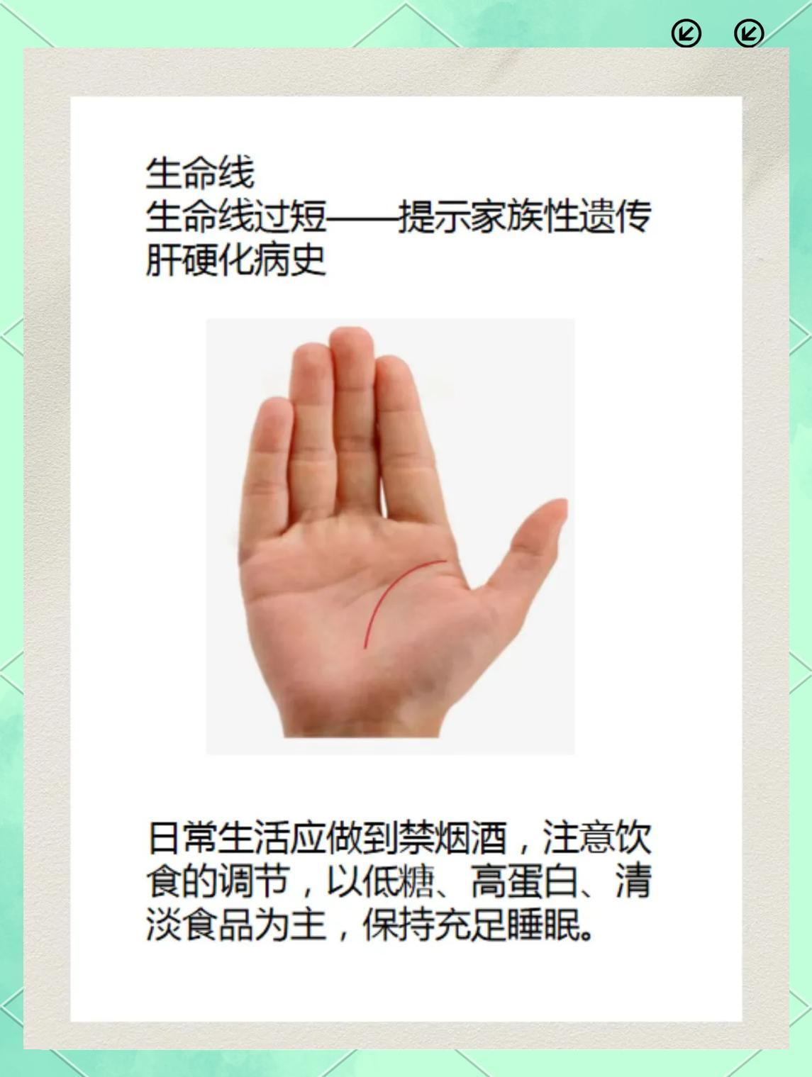 生命线的秘密：你的健康预示在哪里？