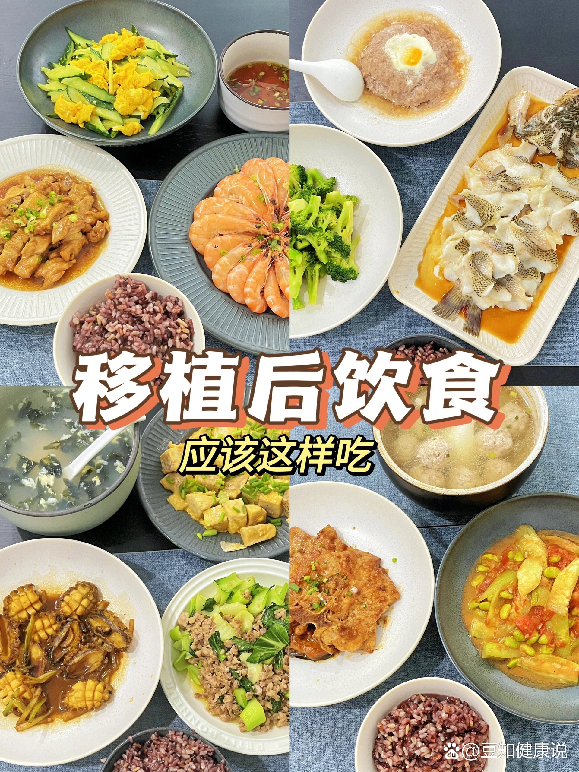 移植后饮食食谱图图片