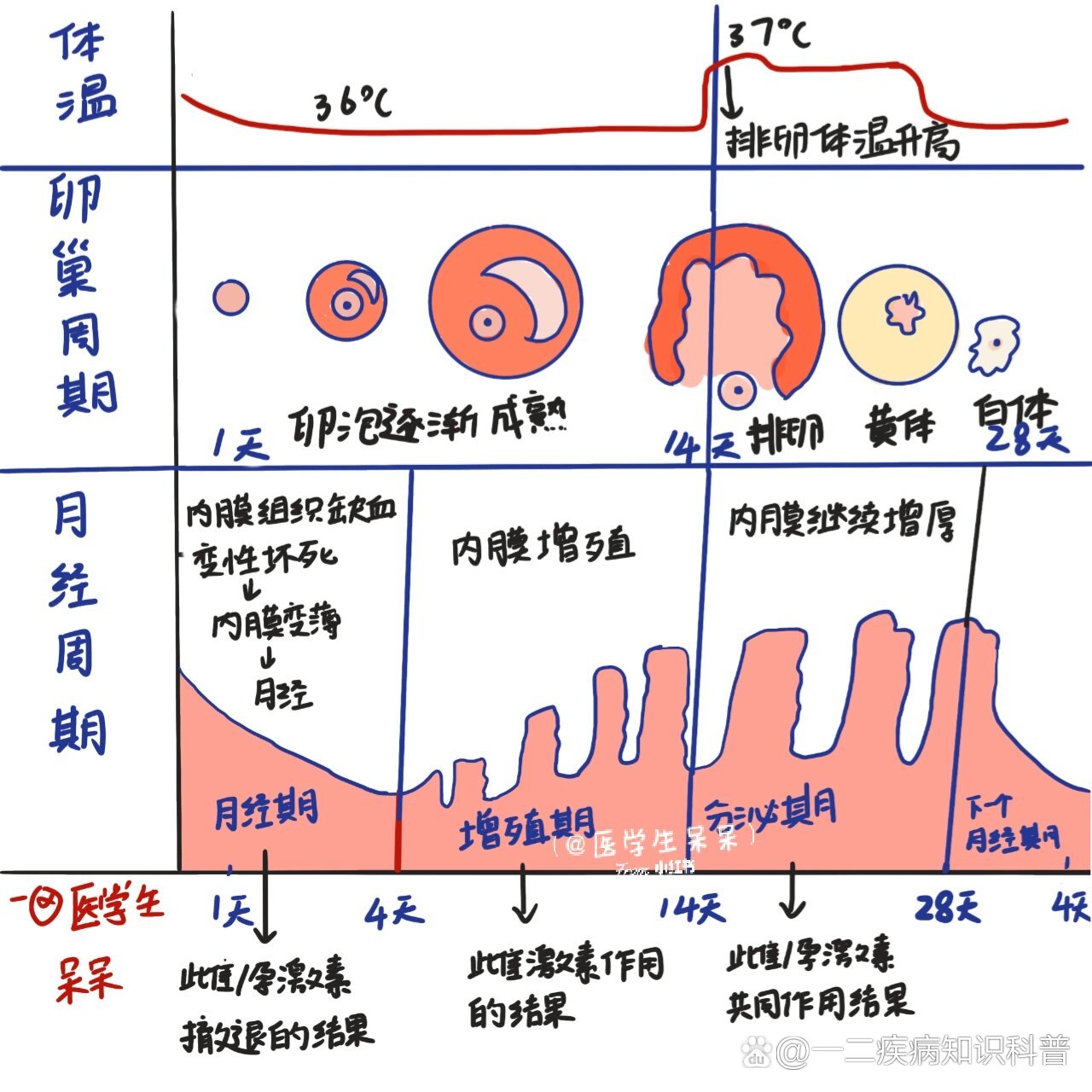 全网资源