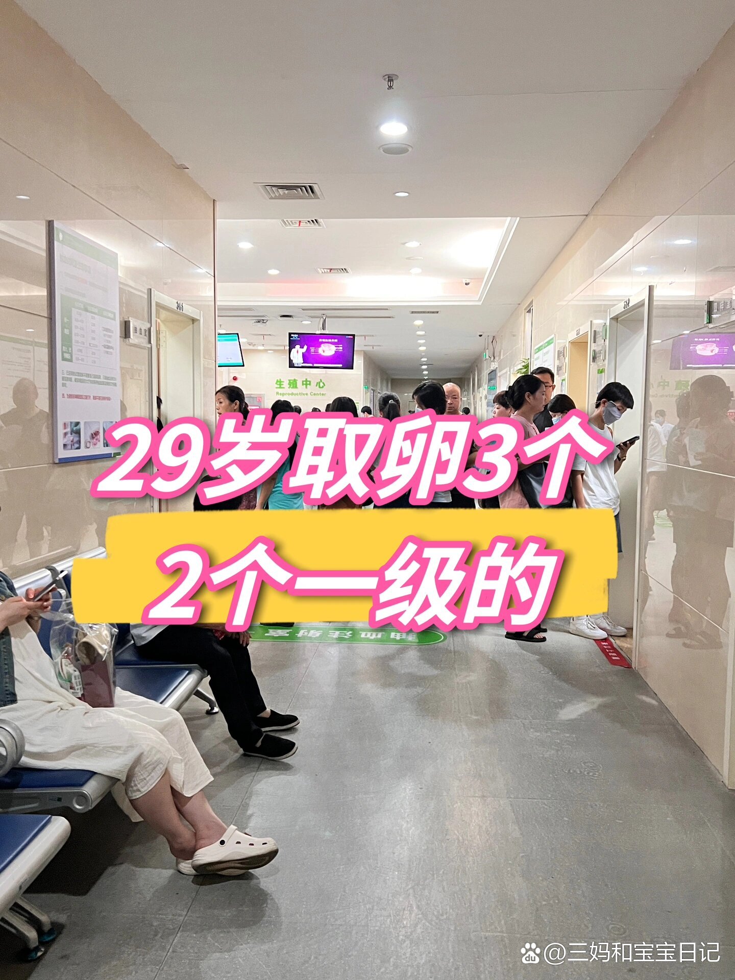 取卵取几个_取卵取几个比较好