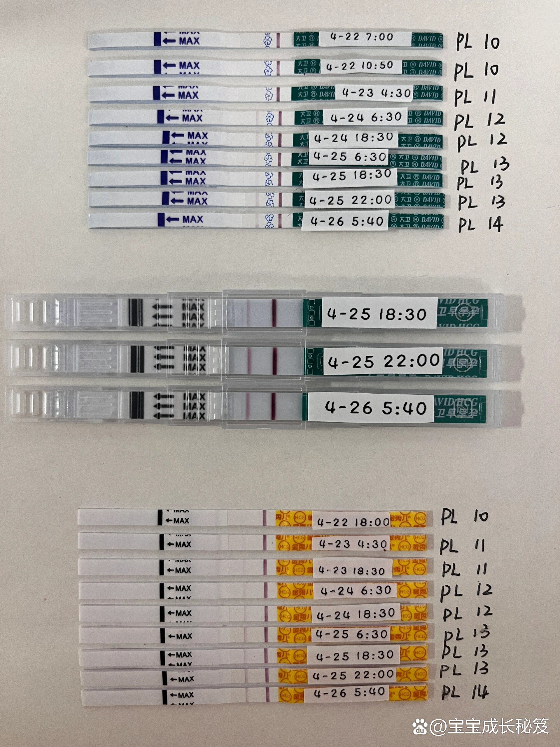 大卫排卵试纸变化图图片