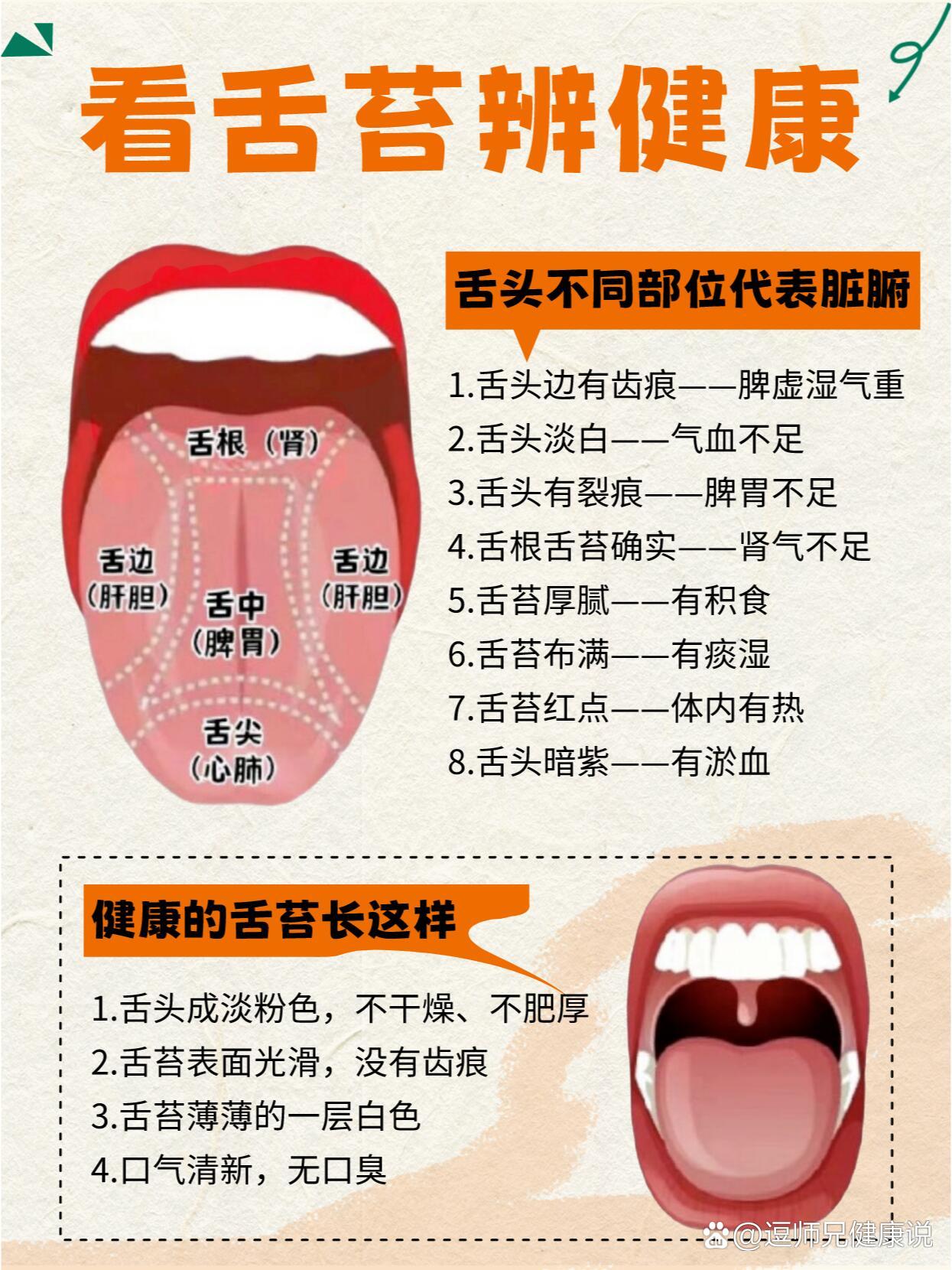 舌头分布图图片