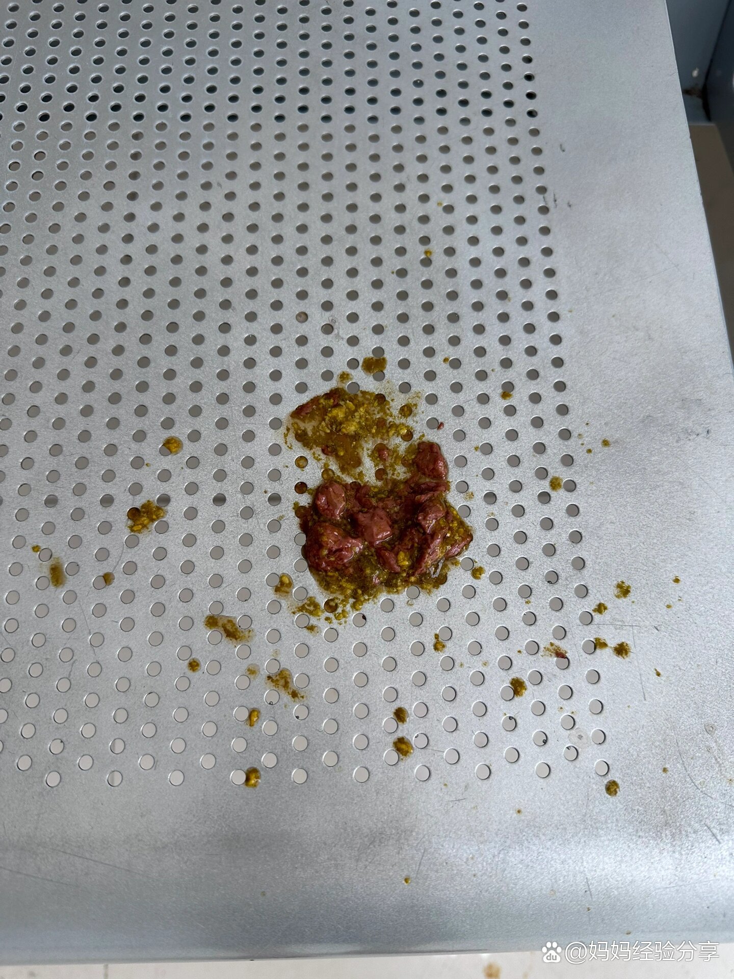 九个月宝宝大便有血(内有便便93)