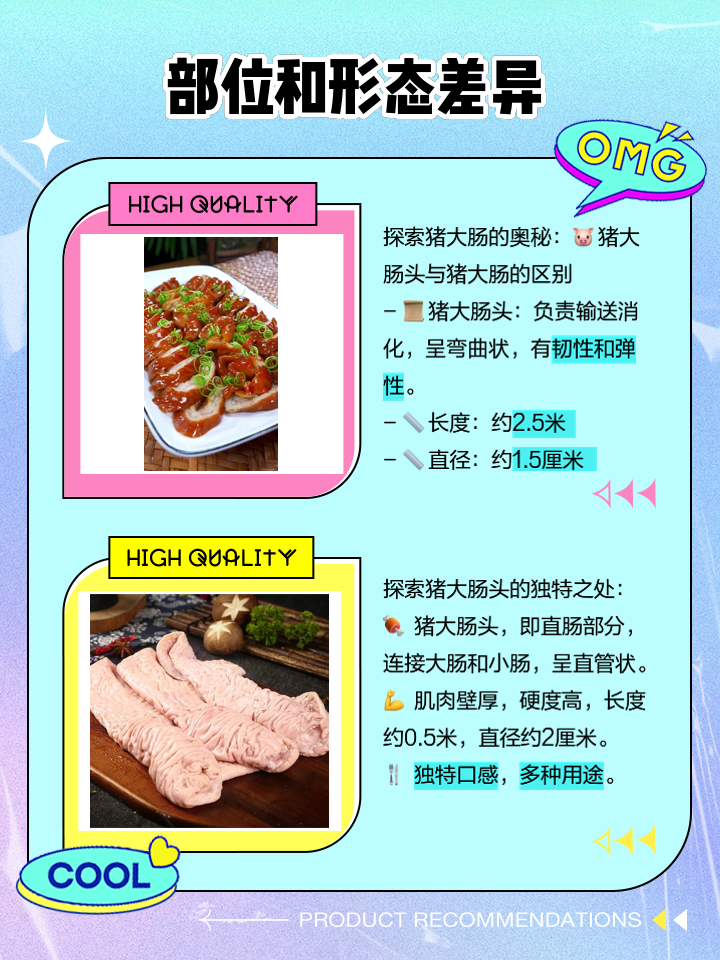 猪大肠和大肠头的区别