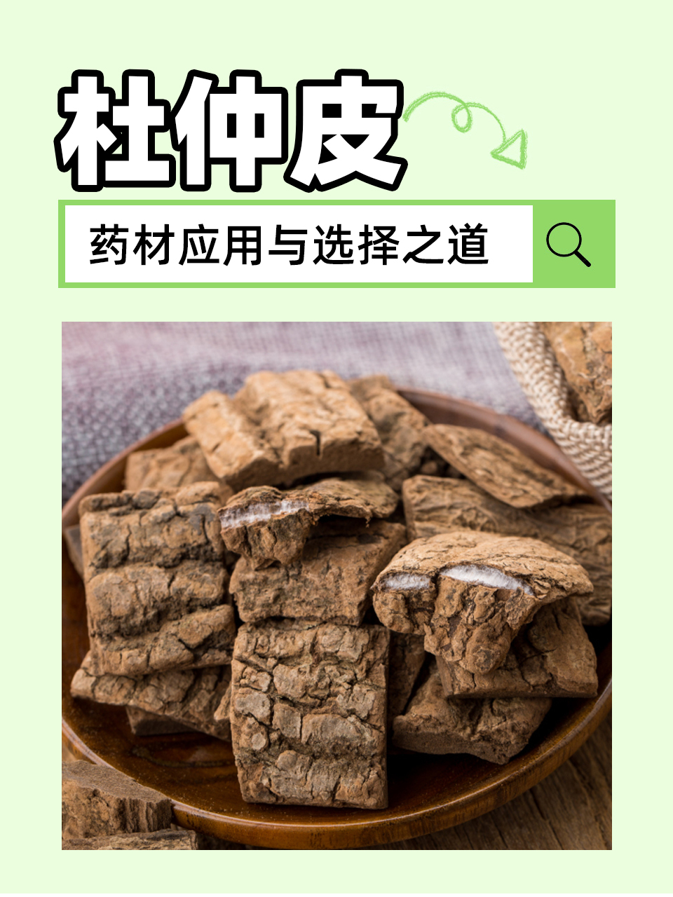 杜仲皮:药材应用与选择之道