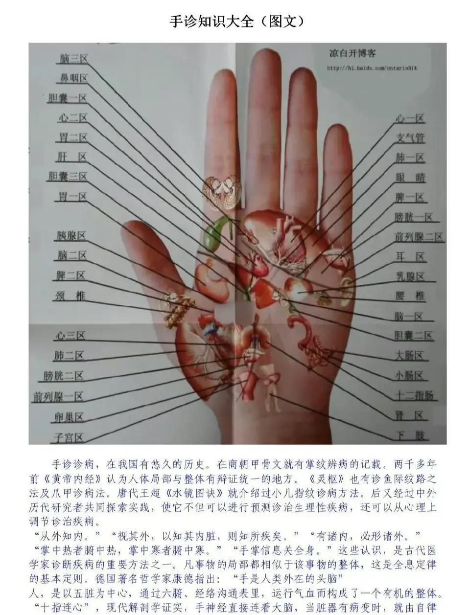 💥手诊秘籍！