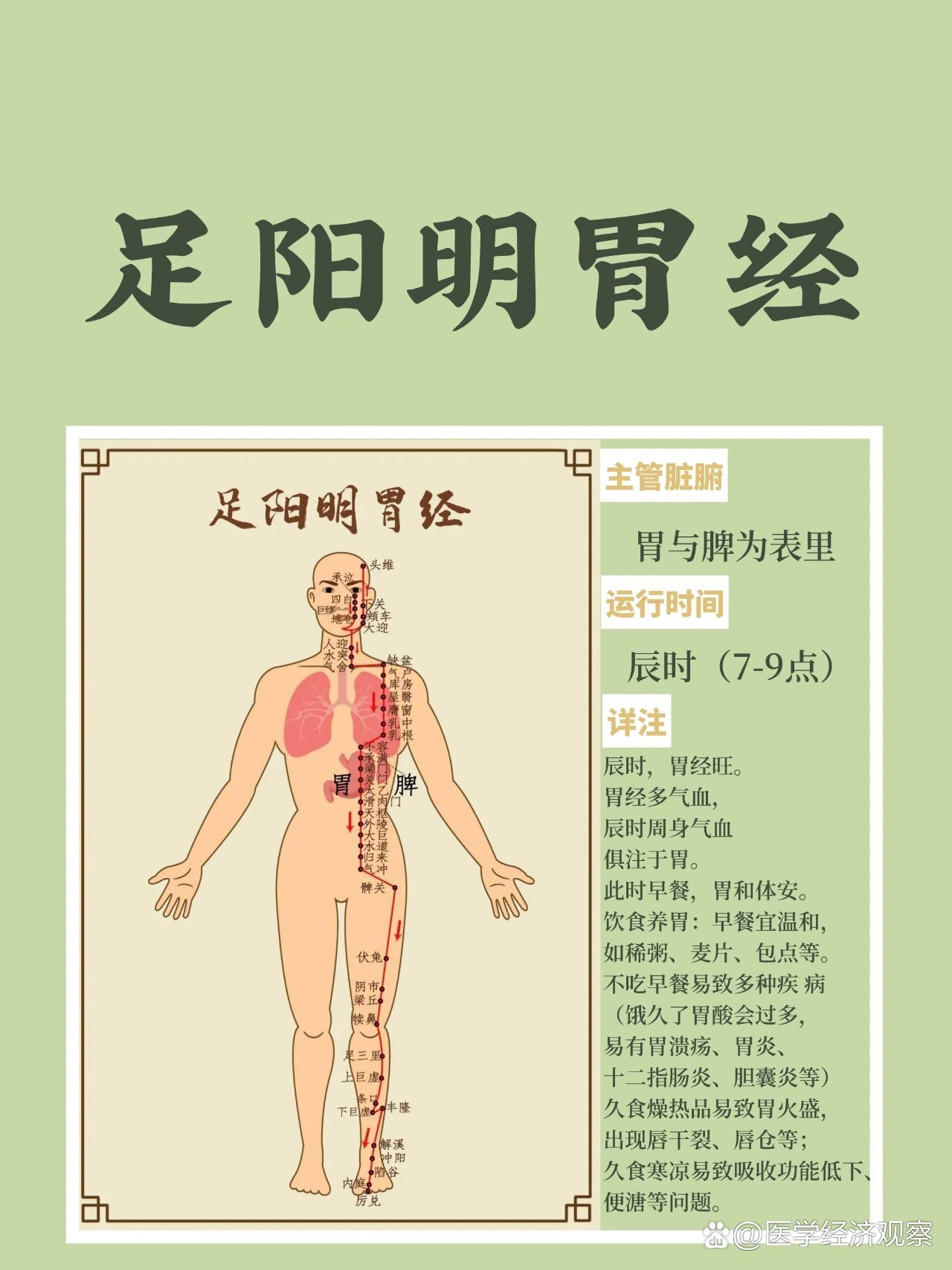 足三阴循经路线图片图片