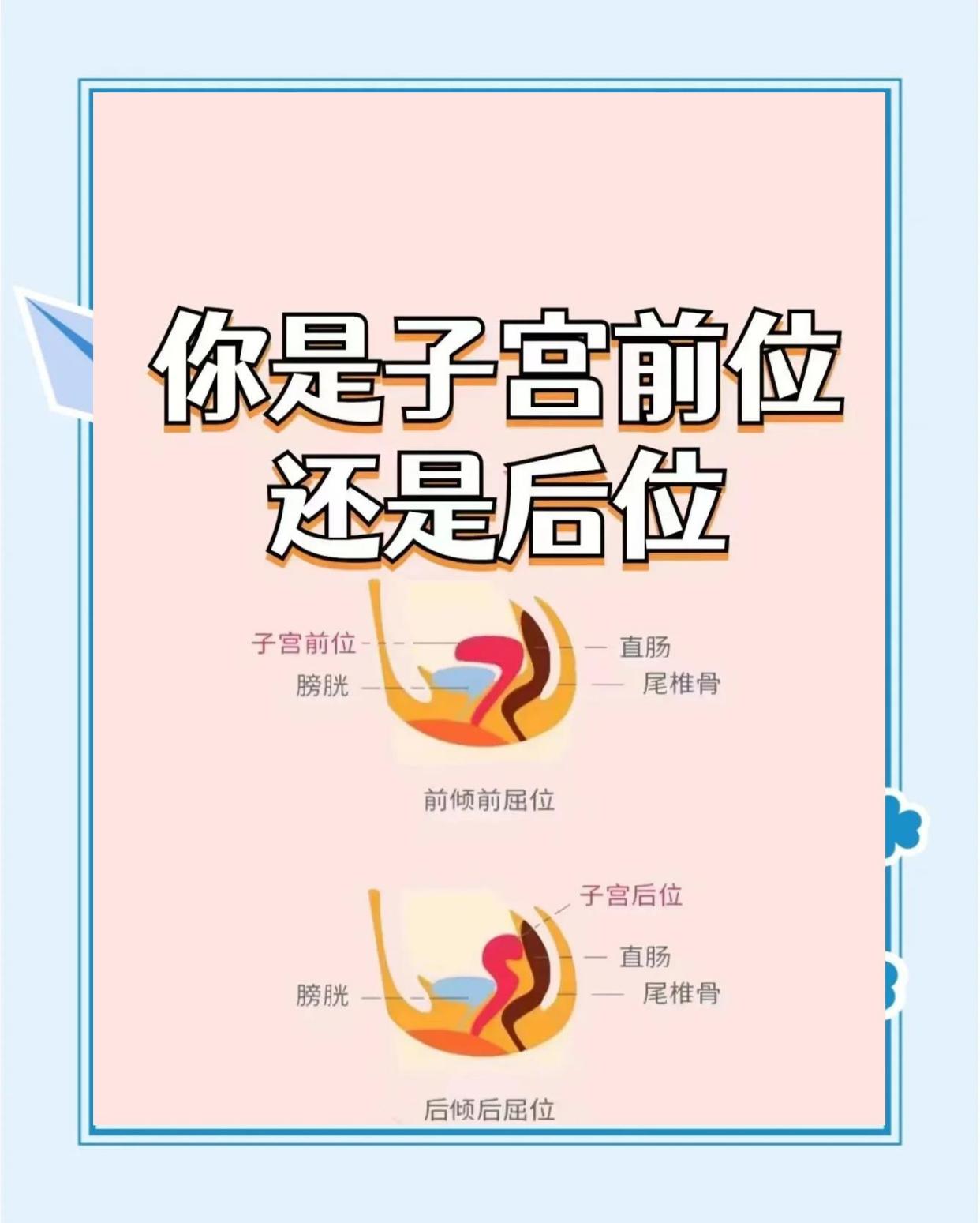 一分钟搞懂子宫前后位，备孕更轻松！