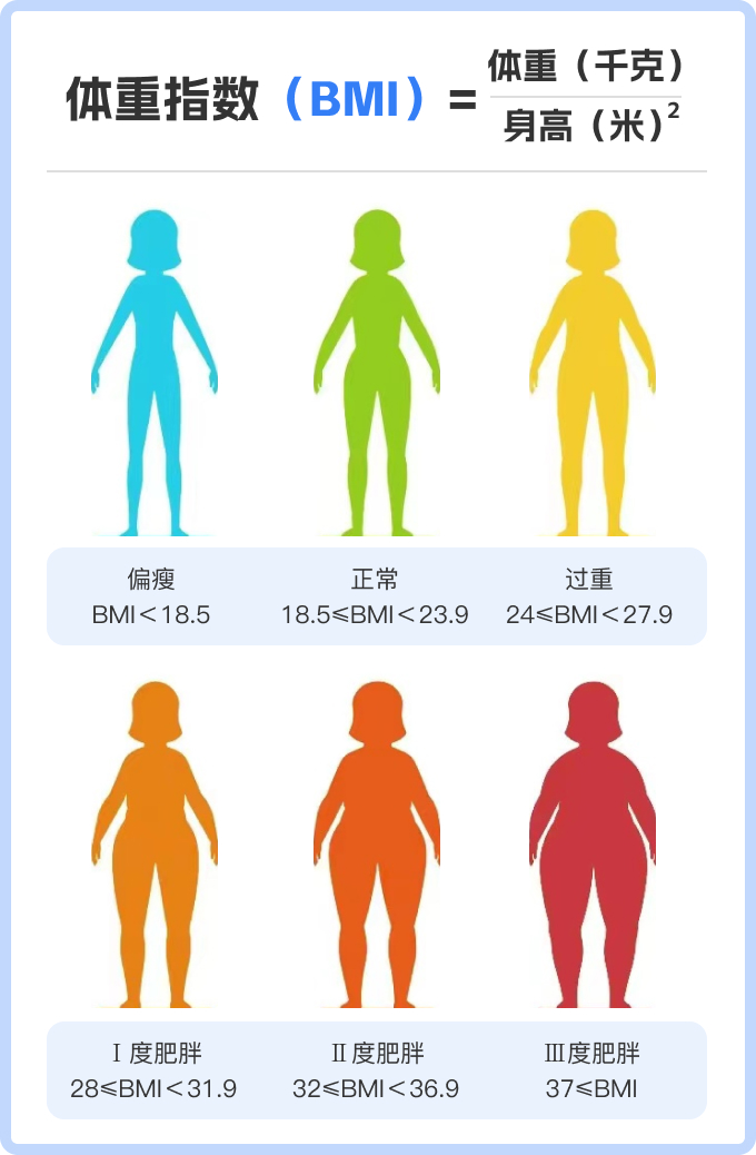 女性bmi是什么