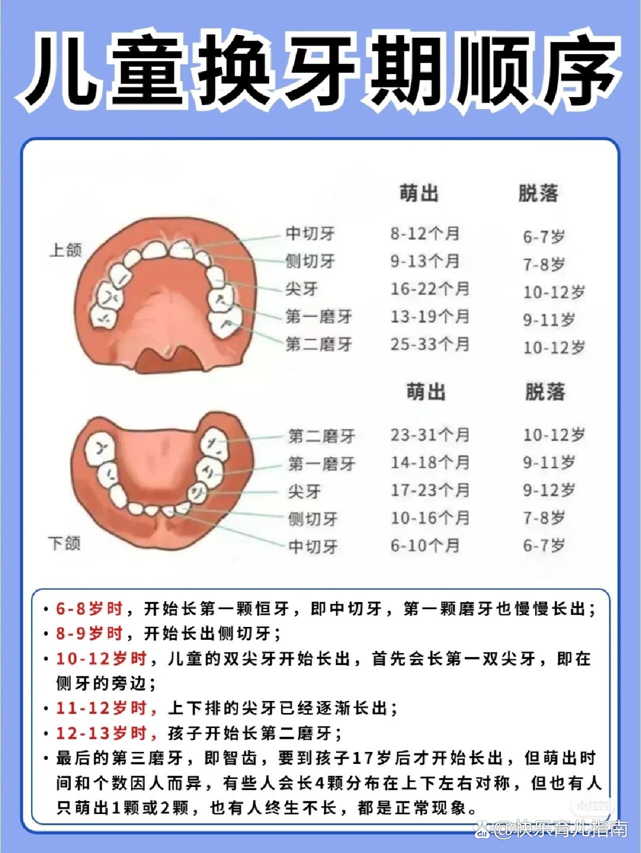 儿童换牙齿时间表