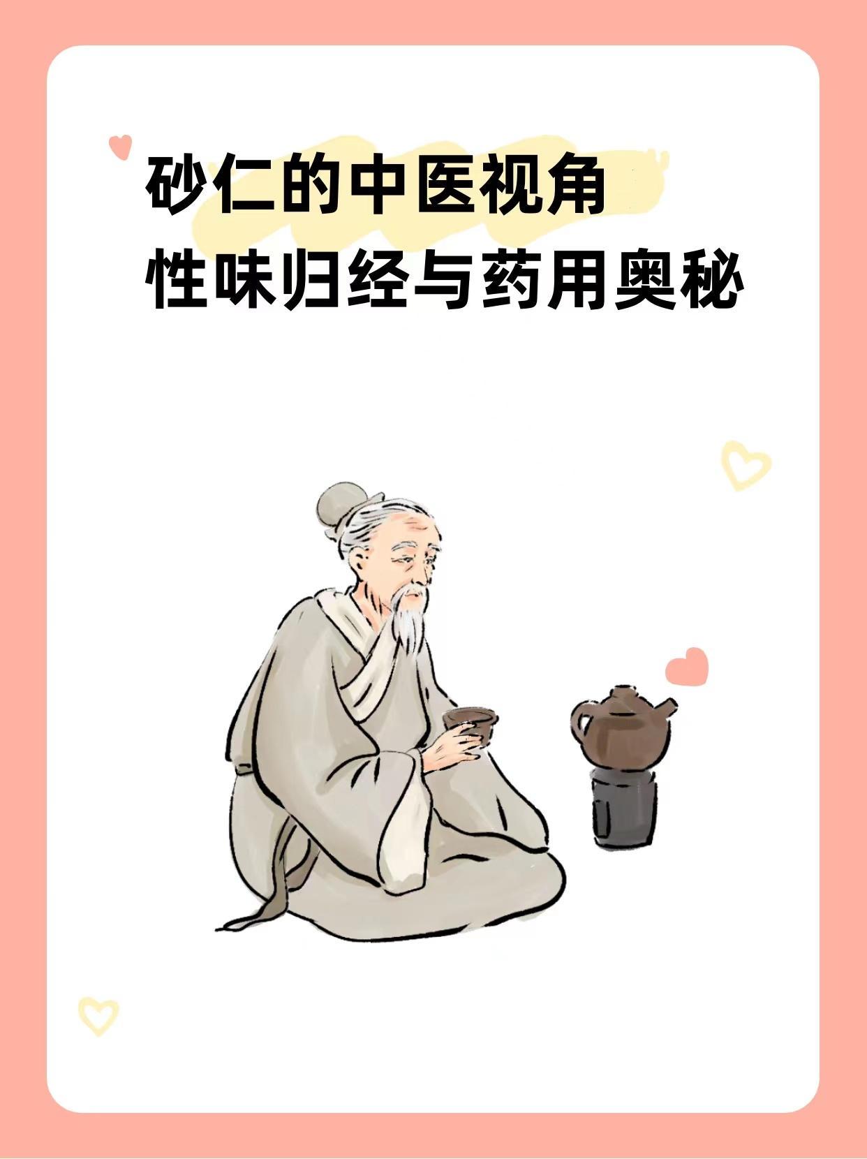 砂仁性味图片