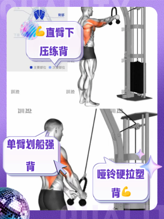 哑铃练背的动作