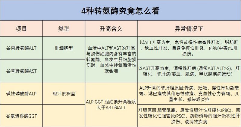 ALT、AST、ALP、GGT究竟怎么看？