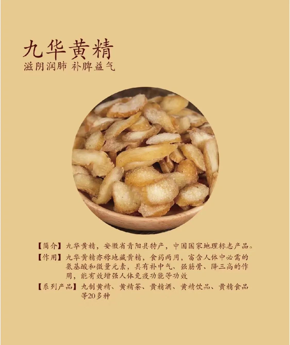 北有人参，南有黄精——九华黄精的传奇
