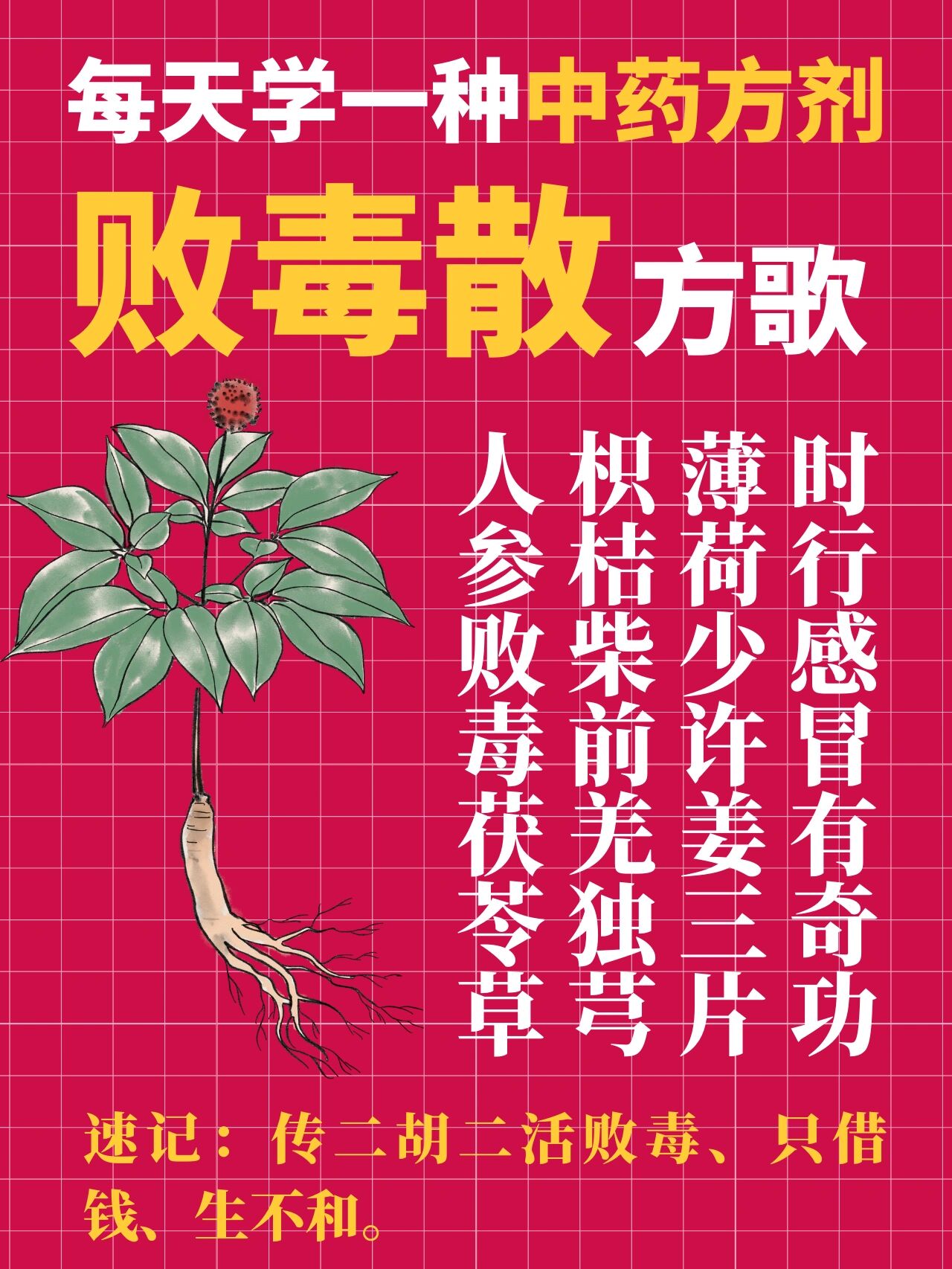 中医考试|每天学一种中药方剂91败毒散
