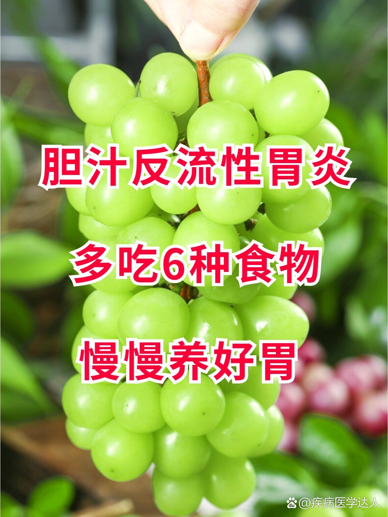 胆汁反流性胃炎,多吃6种食物,胃壮壮