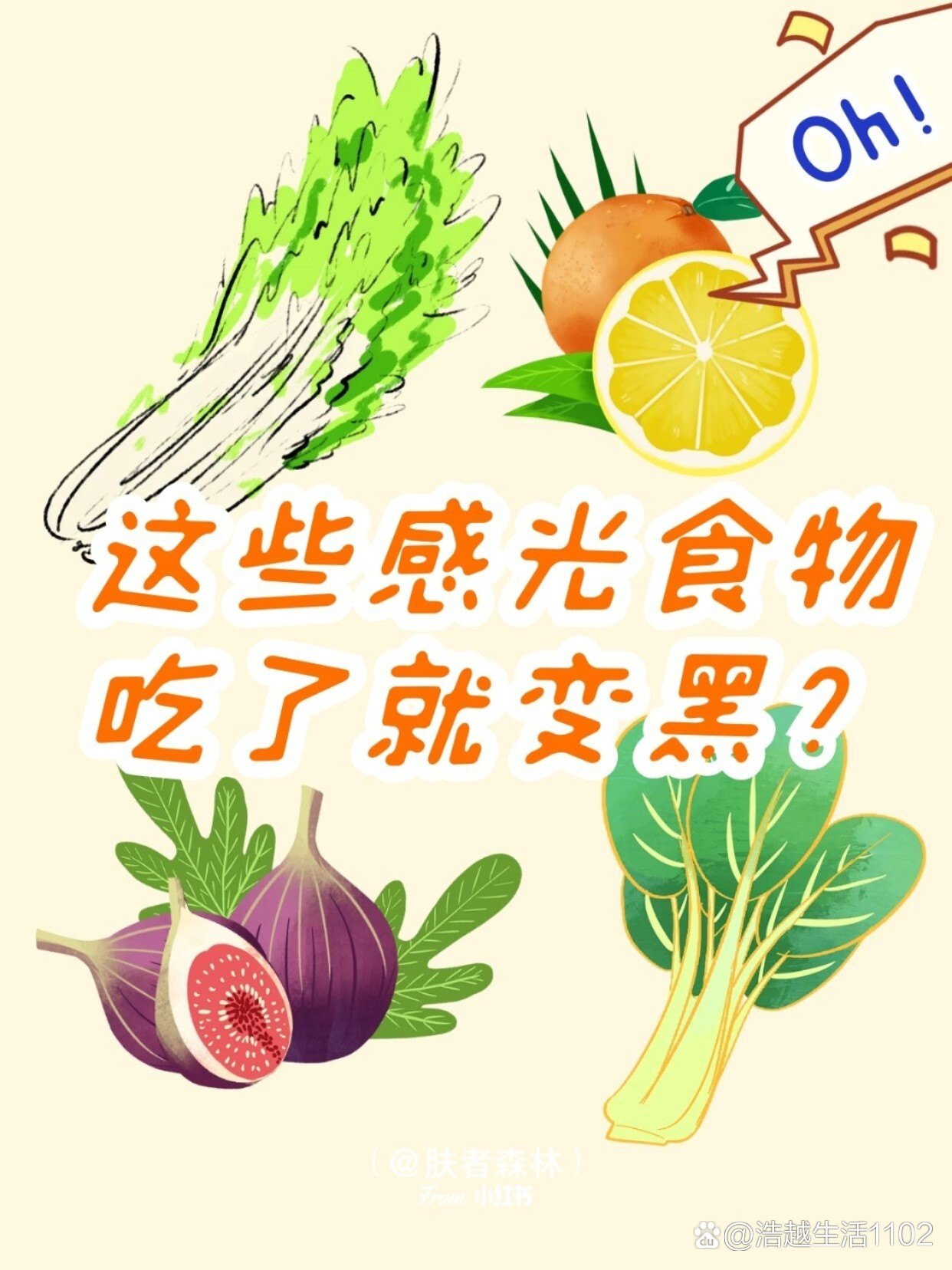 https://selfpage-gips.cdn.bcebos.com/46f1c9c6ecc3ec22c12a3ddc9d124e88.jpg