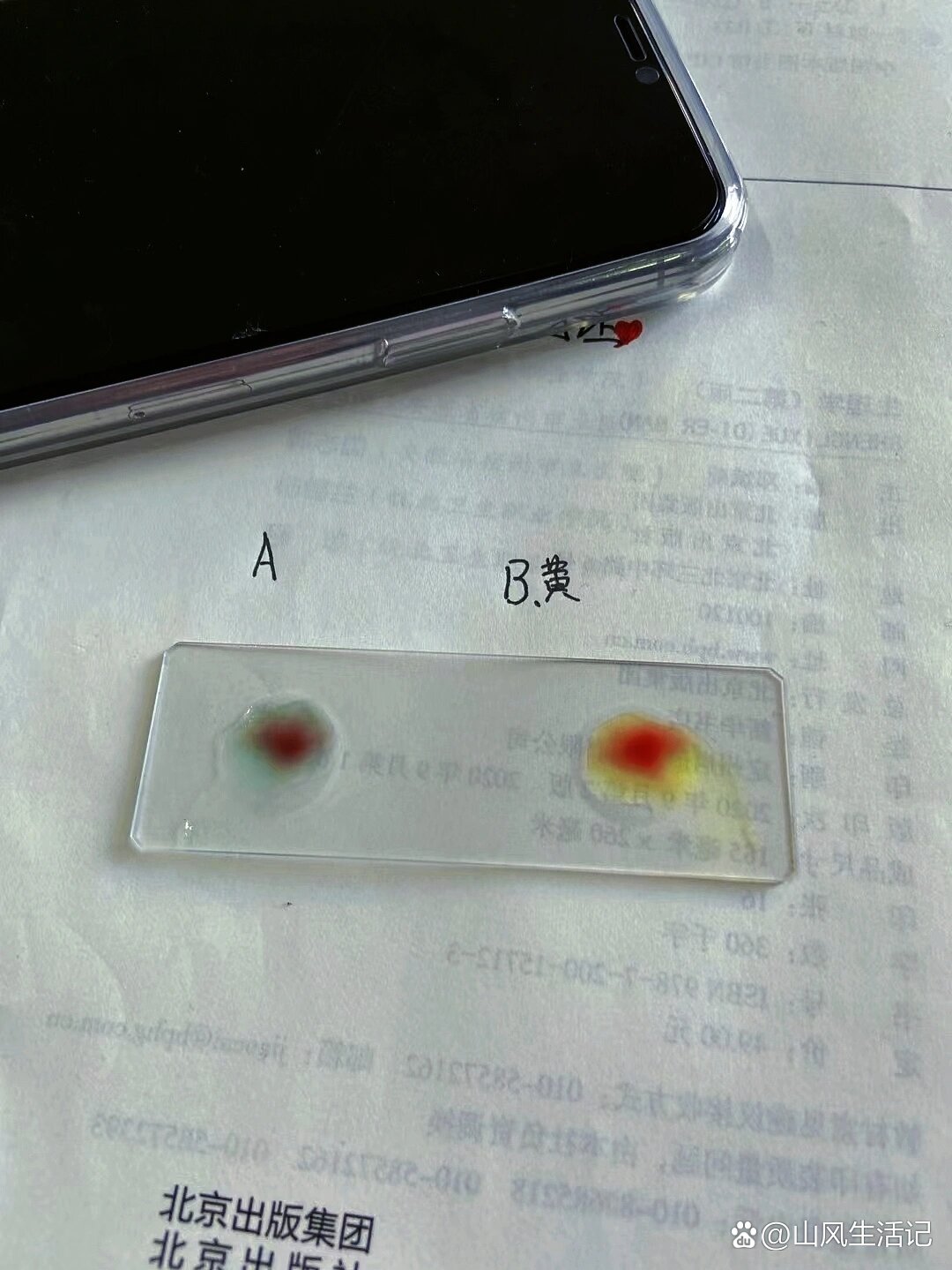 学会用玻片法测定人体abo血型,并能根据测定结果确定血型.