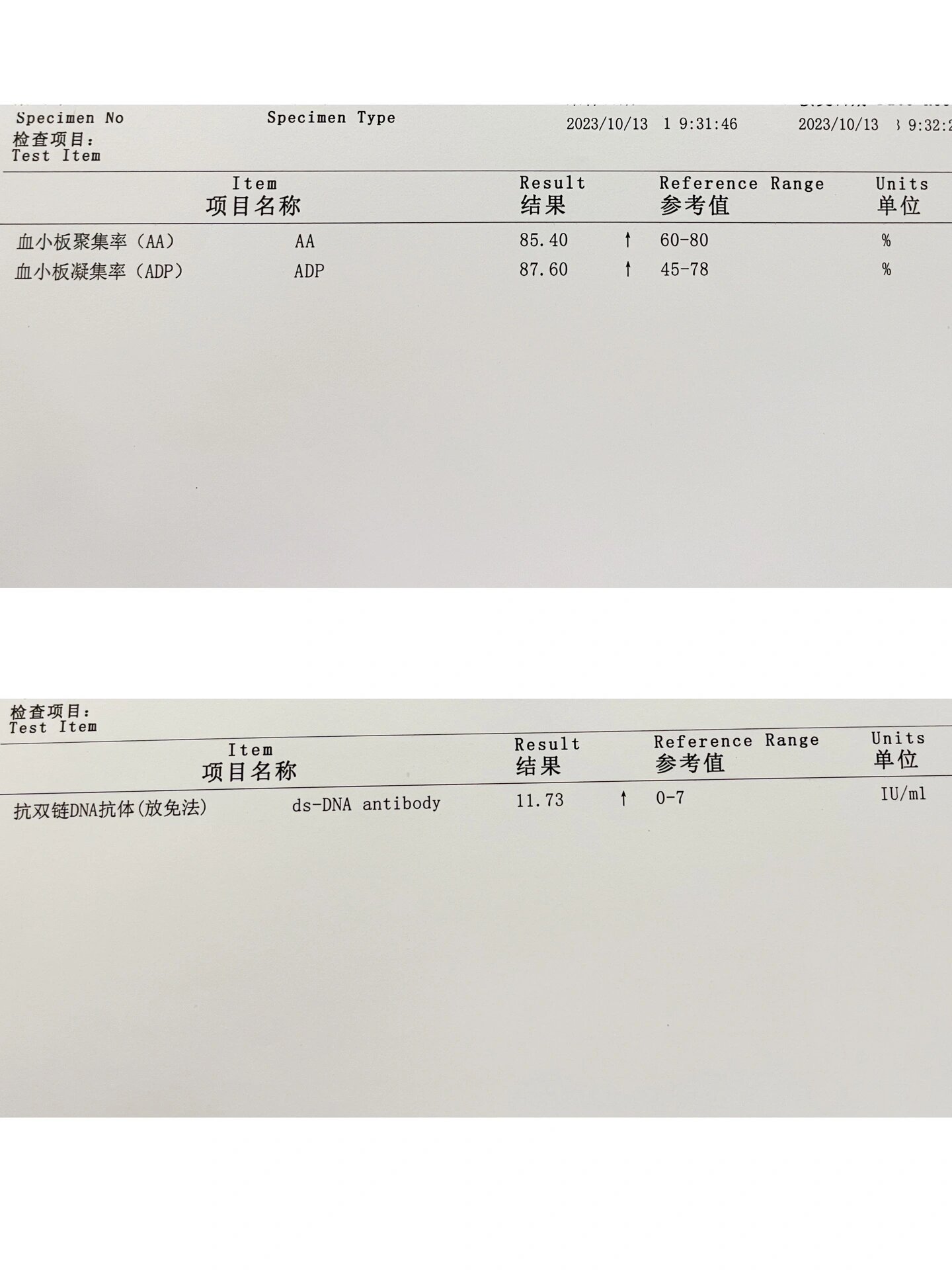 免疫球蛋白化验单图片