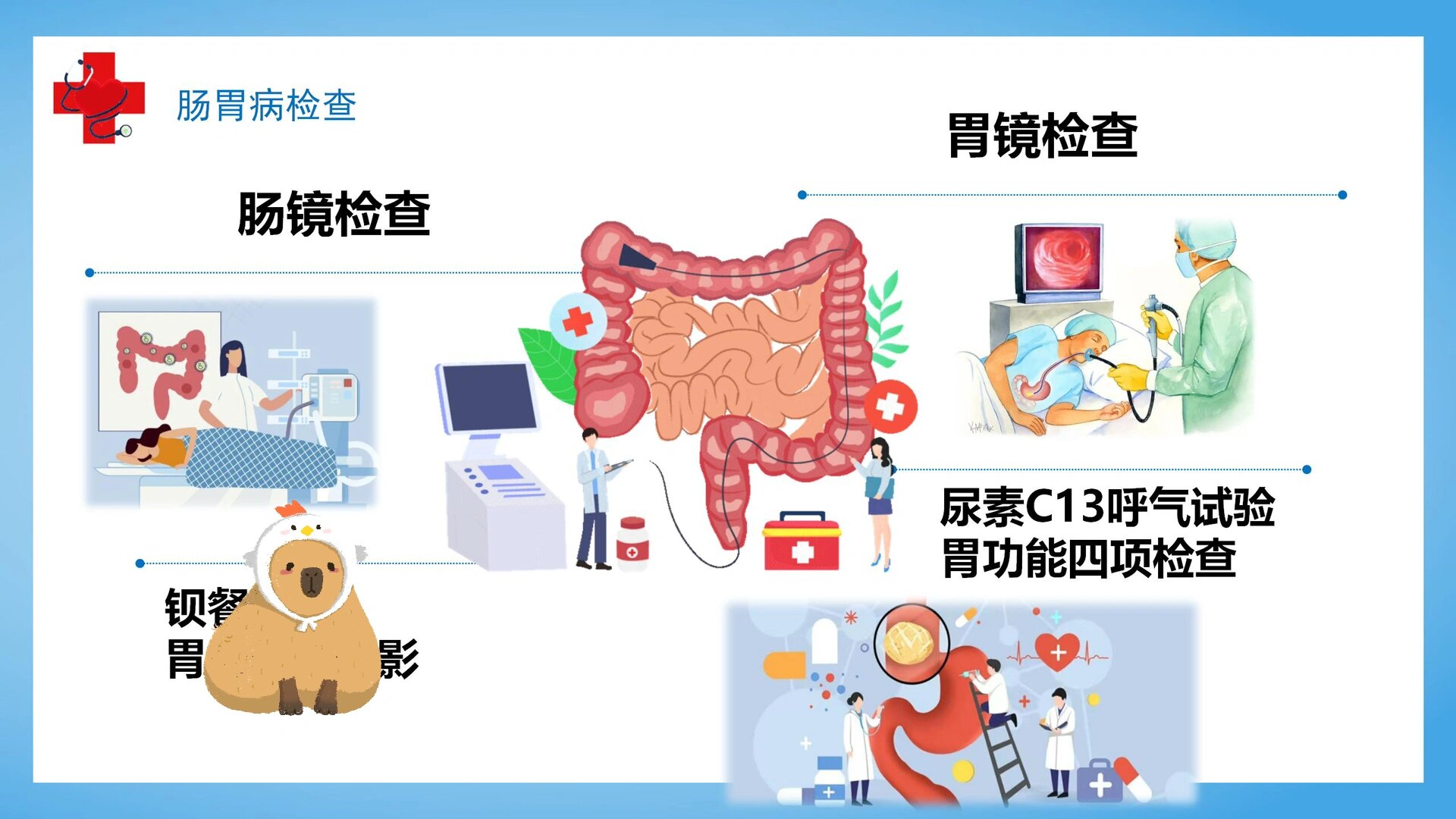 护士科普宣教ppt—肠胃健康,原创14页