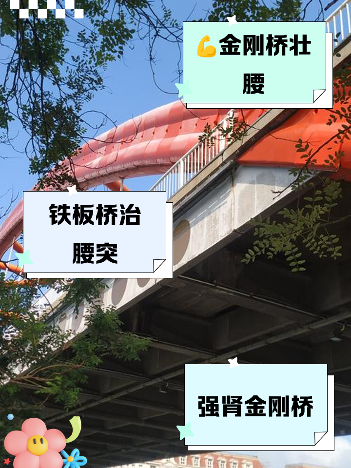 金刚铁板桥的功效和作用