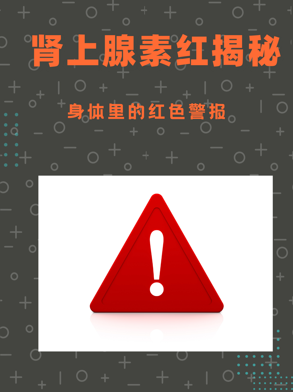 肾上腺素红?揭秘身体里的"红色警报"04