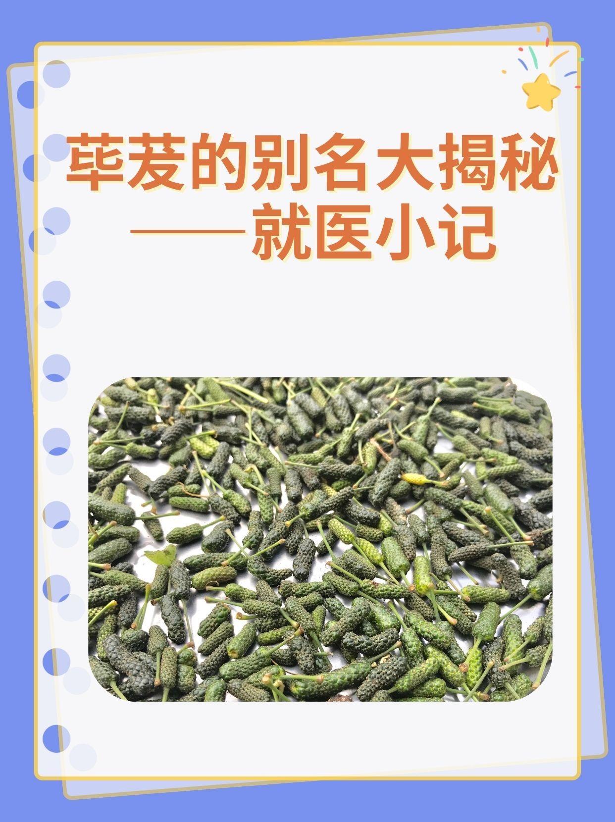 荜茇的别名大揭秘——就医小记
