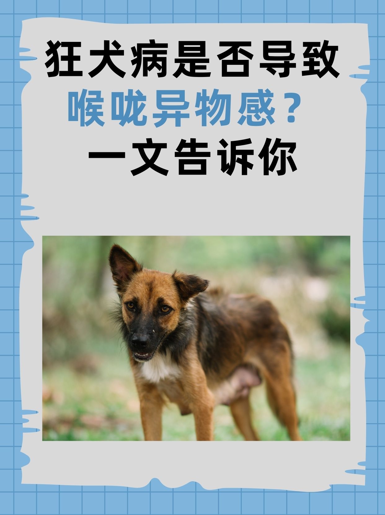 狂犬病幸存者图片