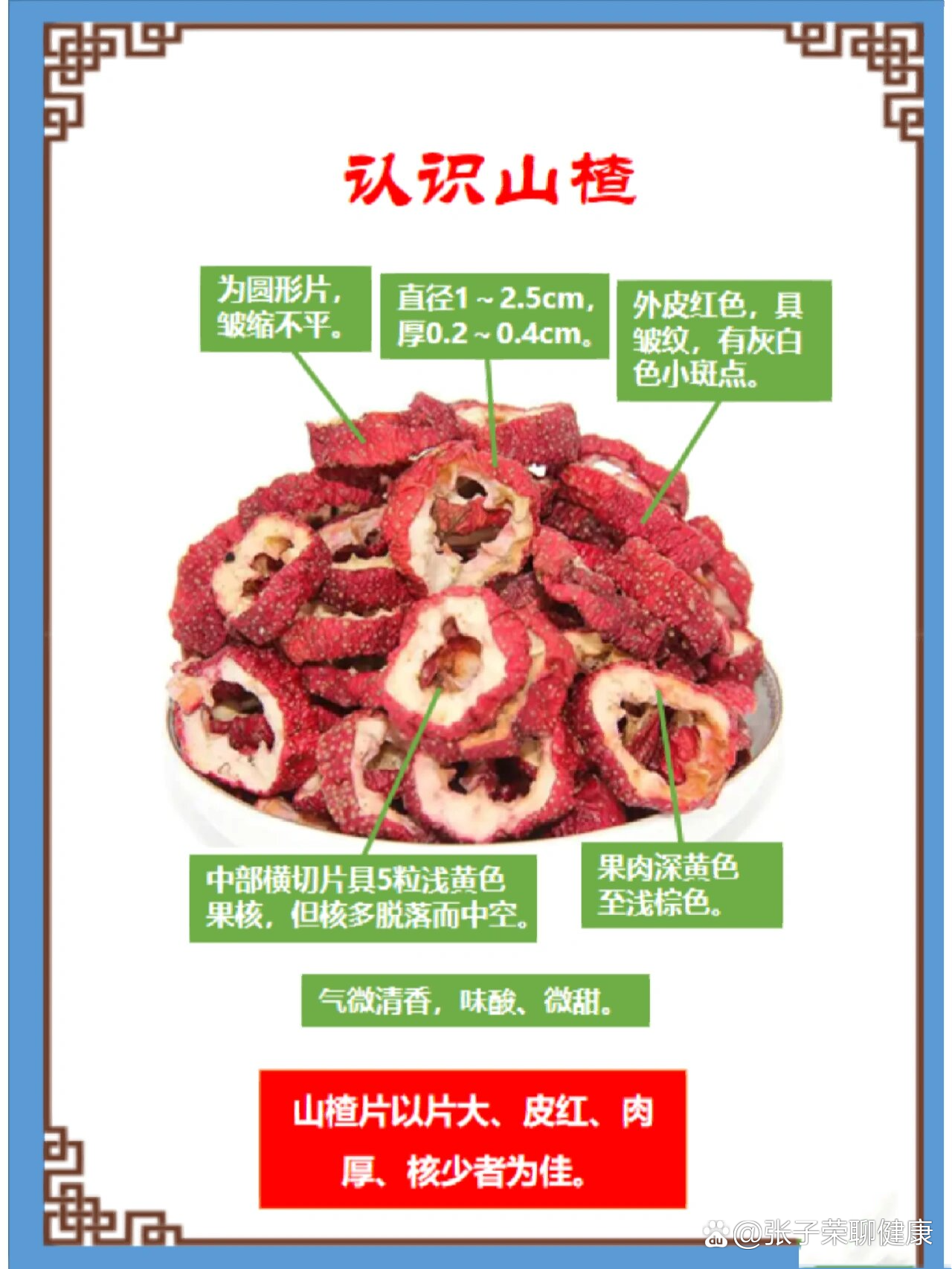 每天学习一味中草药——山楂