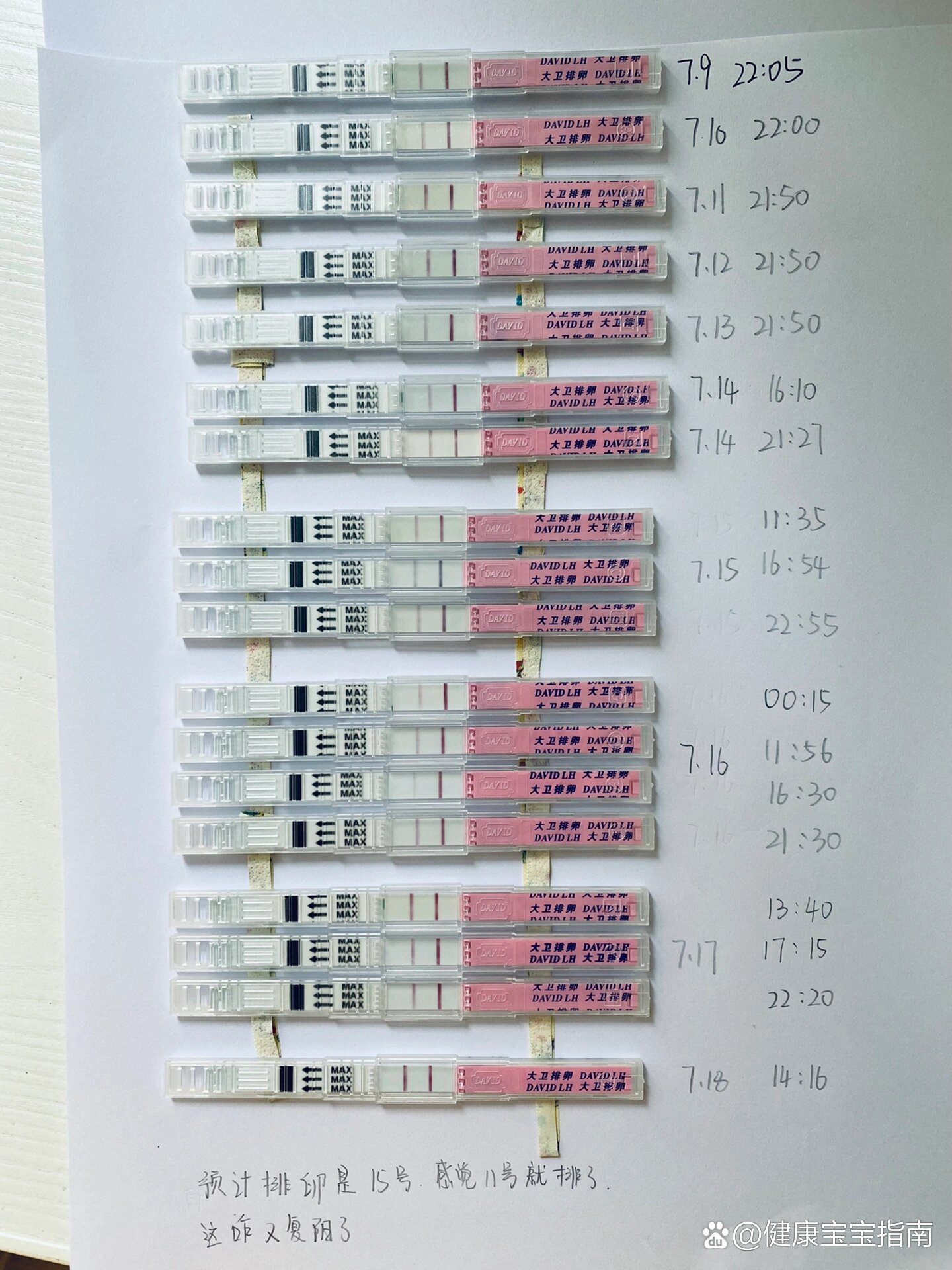 排卵试纸阳性的图片图片