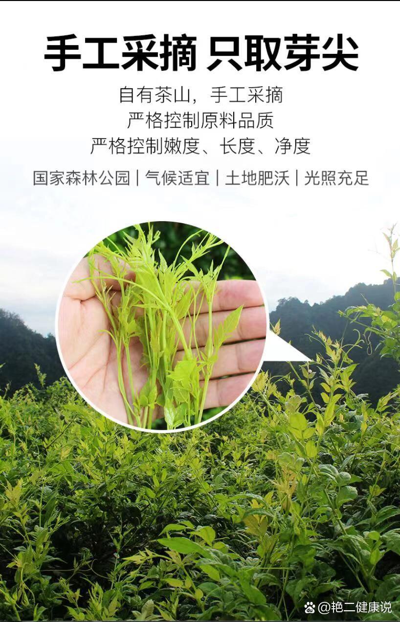 莓茶又称显齿蛇葡萄,是藤茶的一种,具有清热解毒,杀菌消炎,提高免疫力
