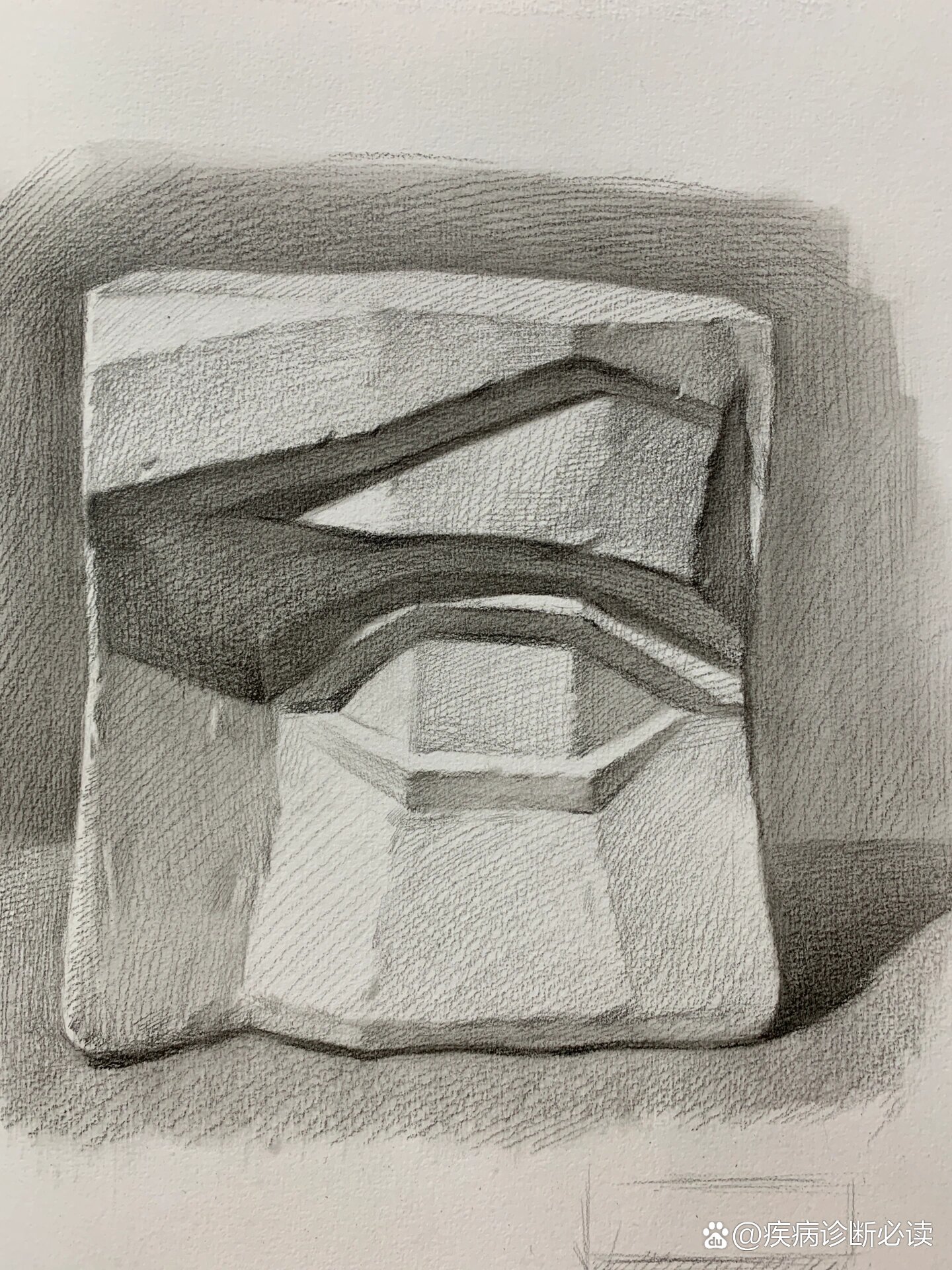 石膏眼睛切面全角度