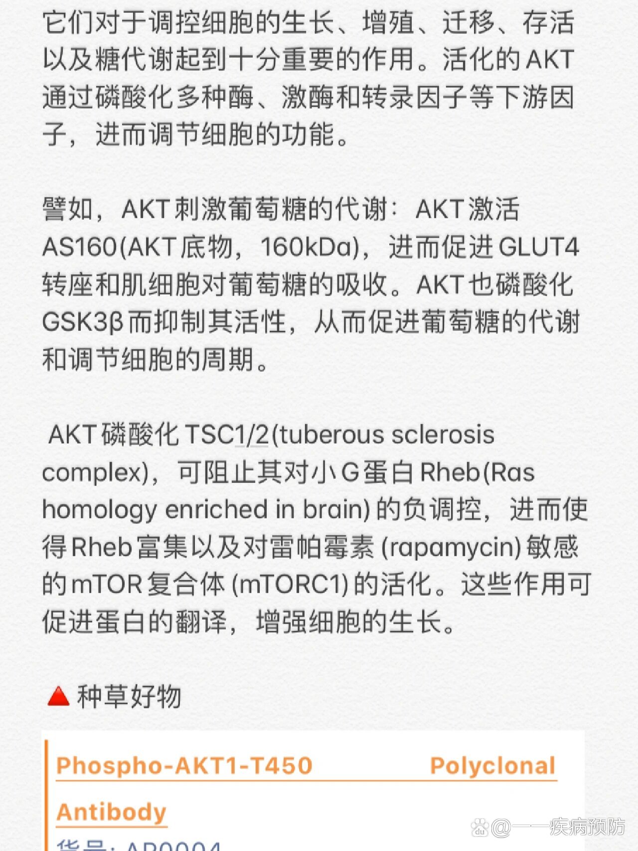 经典信号通路PI3K-AKT-mTOR🔥超全解析