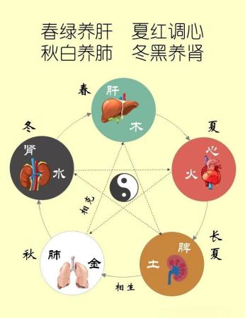 中医五脏与五行关系图解