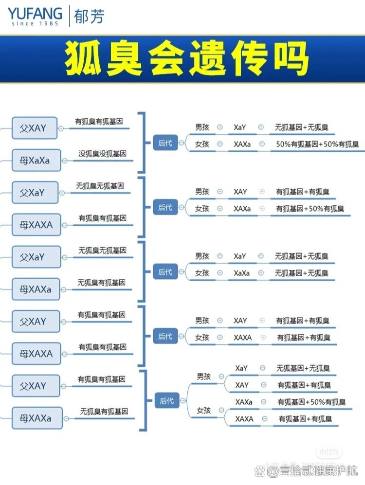 狐臭小知识狐臭会遗传吗?