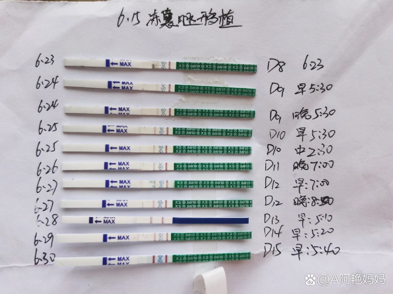 移植15天测出弱阳图片图片