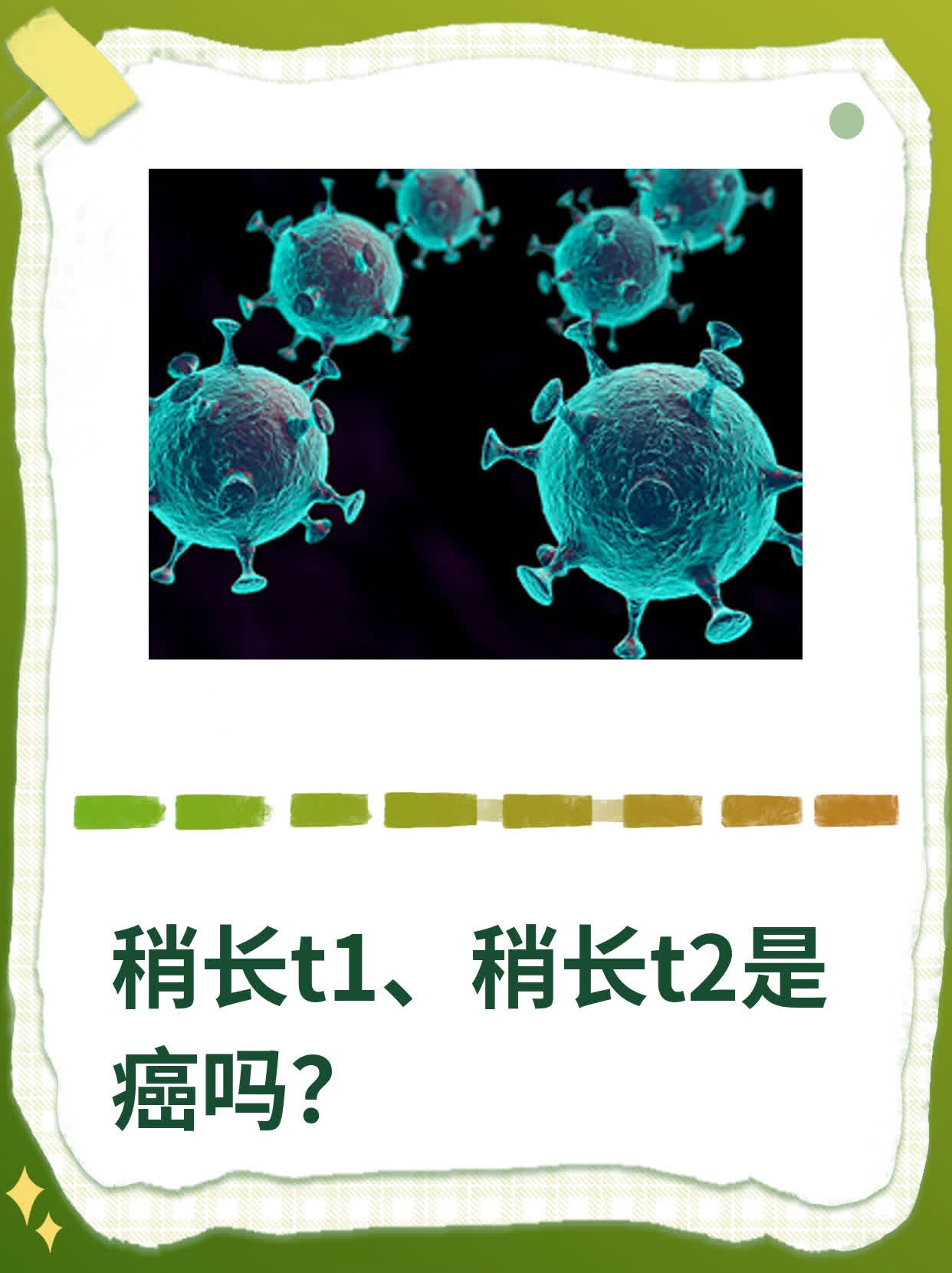 t1长t2稍长是什么意思