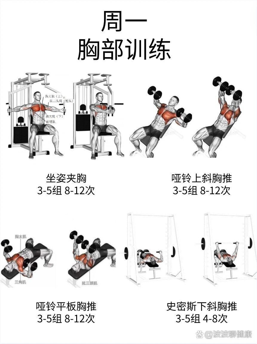 99最全训练图鉴99健身不求人6015