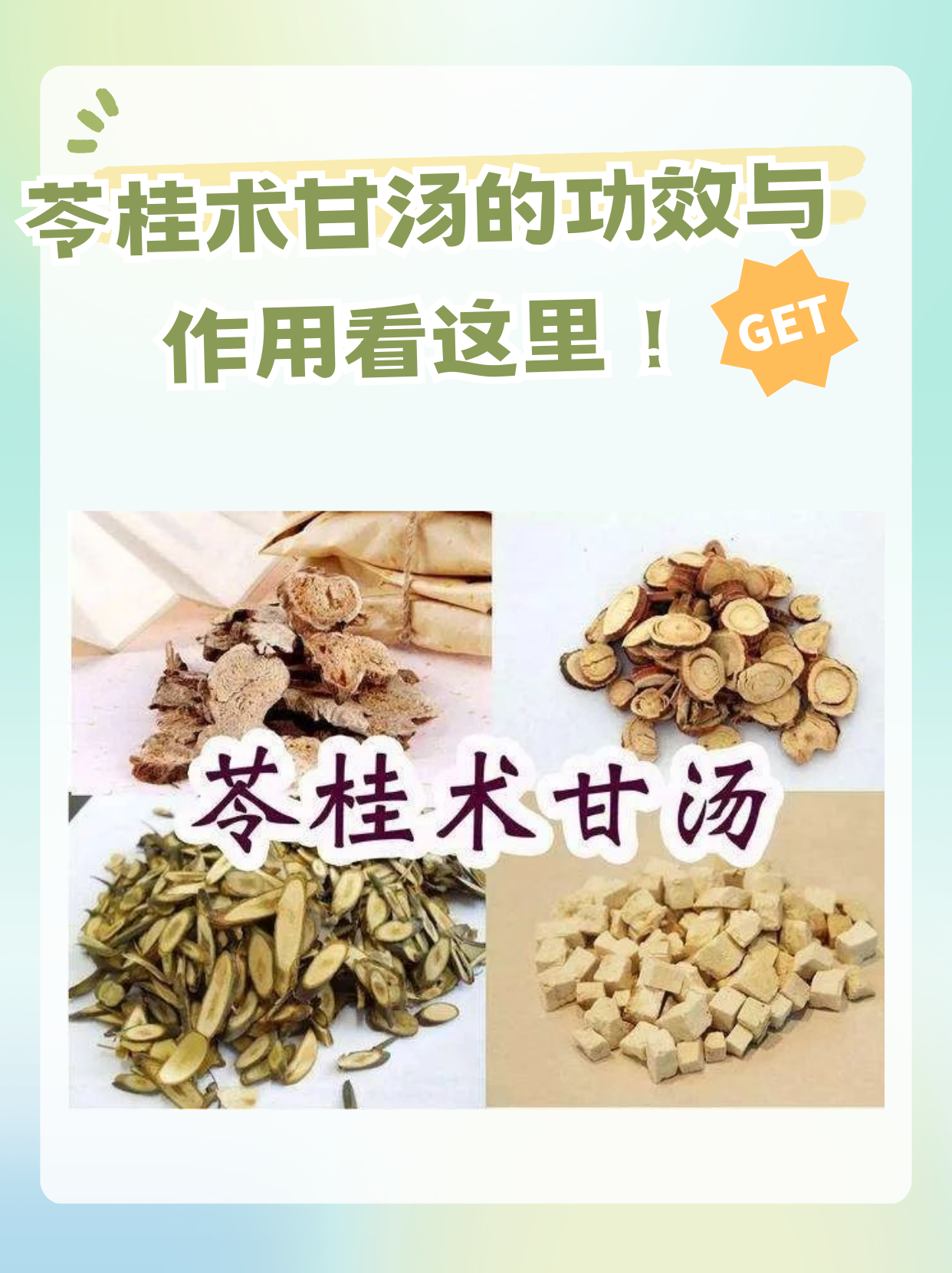 麻桂术甘汤图片