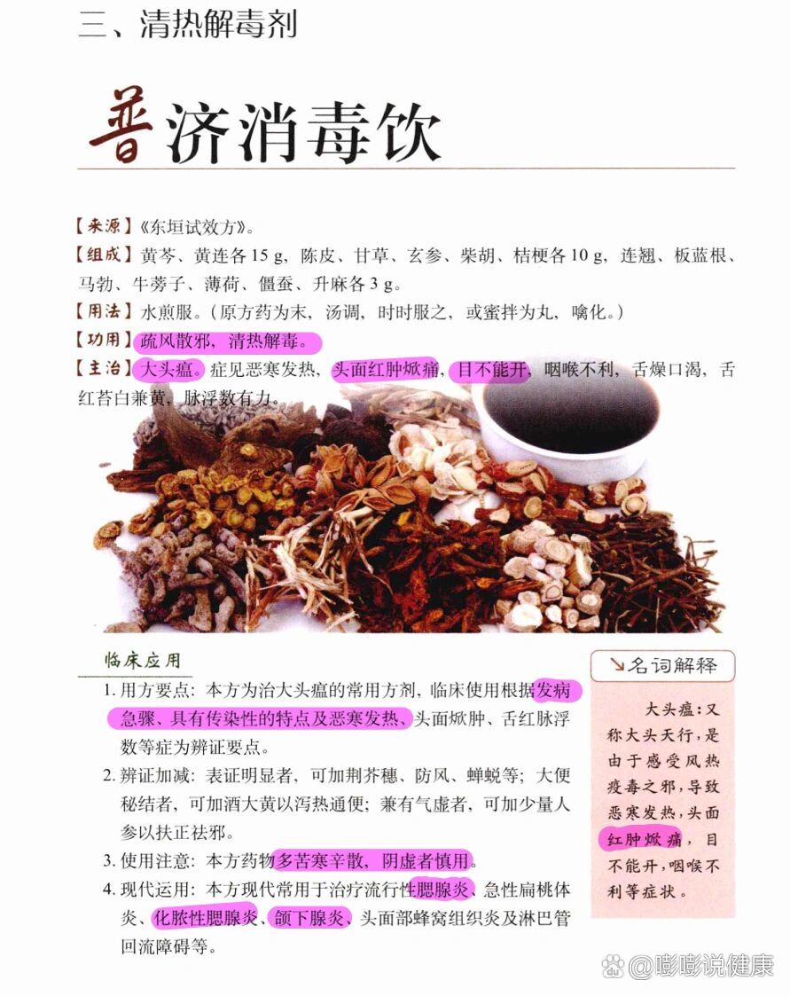 普济消毒饮-清热剂(清热解毒)